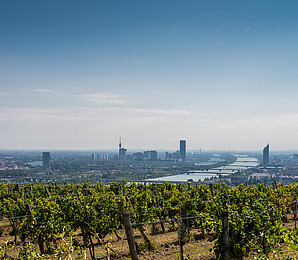 Nussberg Landscape