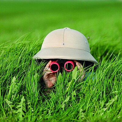 OeAD Ein kleiner Entdecker im Gras