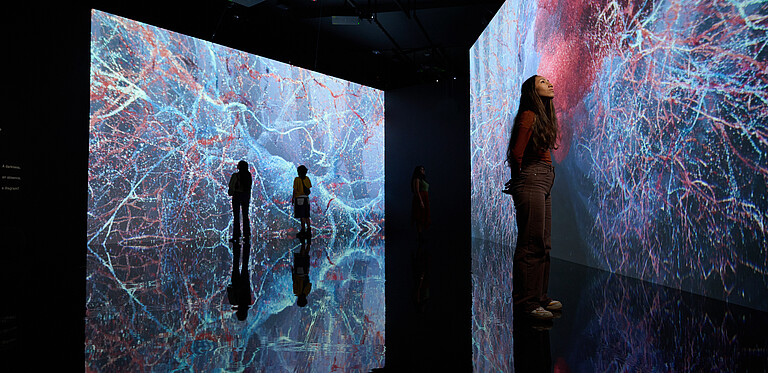 Evolver by Marshmallow Laser Feast, Works of Nature, installation view