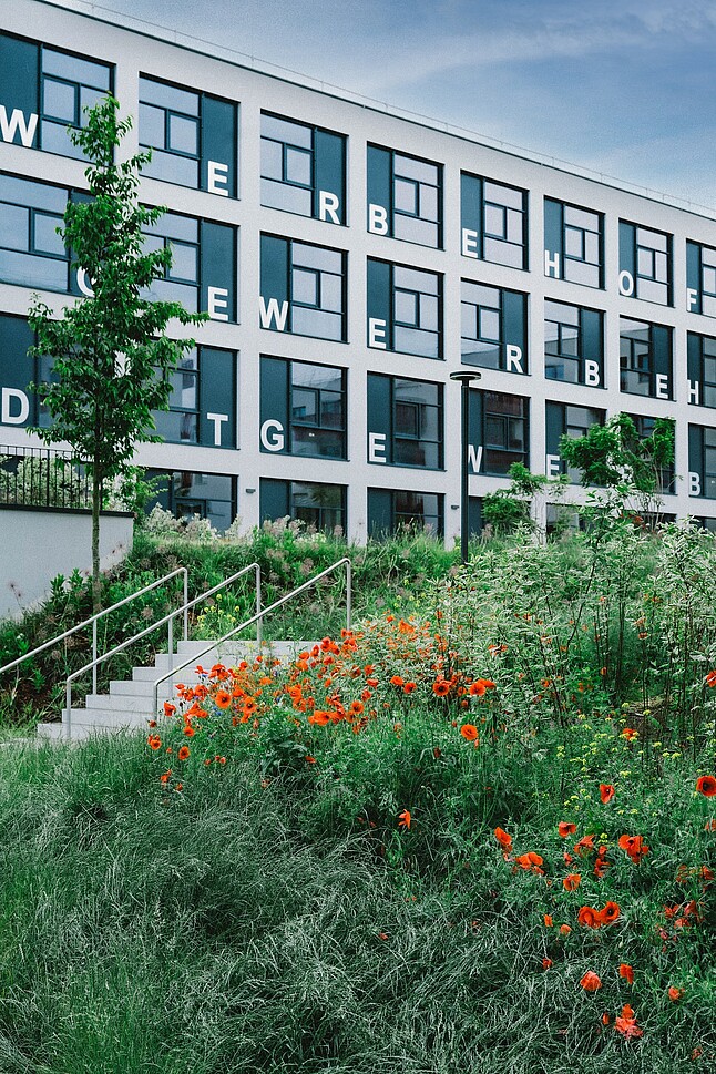 Fantoplast: Eine Außenaufnahme vom Gewerbehof in der Seestadt. Vor dem Gebäude ist eine grüne Wiese mit roten Mohnblumen zu sehen. 