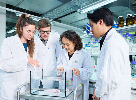 EElly Tanaker – Labor